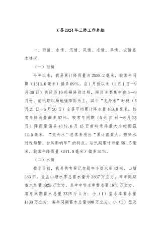 X县2024年三防工作总结
