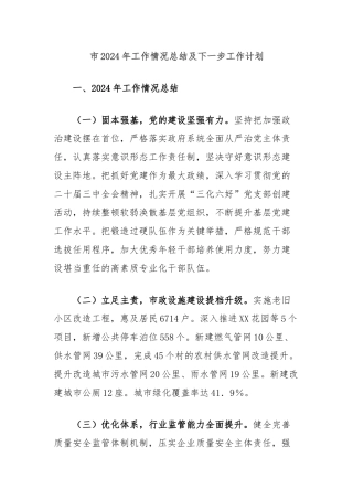 市2024年工作情况总结及下一步工作计划
