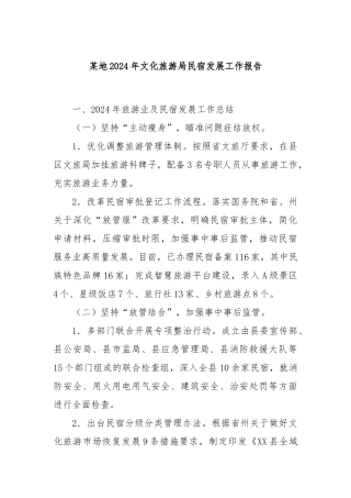 某地2024年文化旅游局民宿发展工作报告