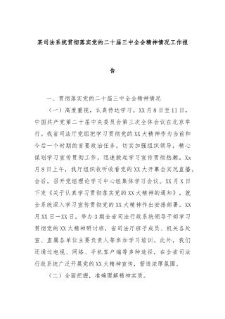 某司法系统贯彻落实党的二十届三中全会精神情况工作报告