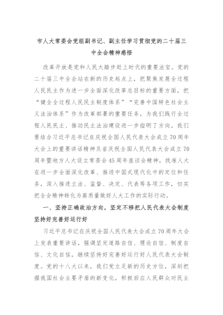 市人大常委会党组副书记、副主任学习贯彻党的二十届三中全会精神感悟