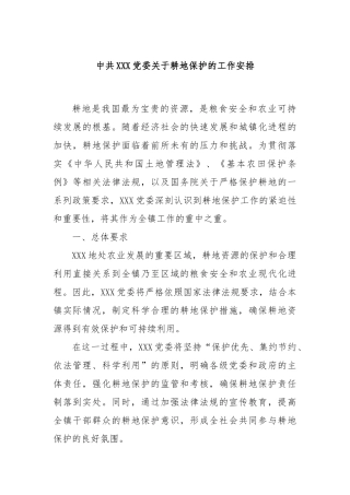中共XXX党委关于耕地保护的工作安排