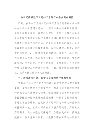 公司纪委书记学习党的二十届三中全会精神感悟
