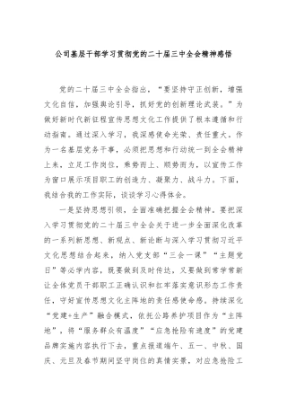 公司基层干部学习贯彻党的二十届三中全会精神感悟