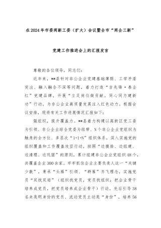 在2024年市委两新工委（扩大）会议暨全市“两企三新”党建工作推进会上的汇报发言