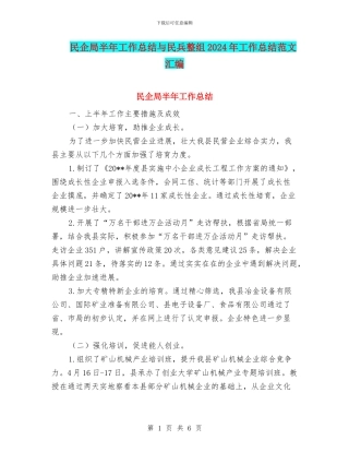 民企局半年工作总结与民兵整组2024年工作总结范文汇编