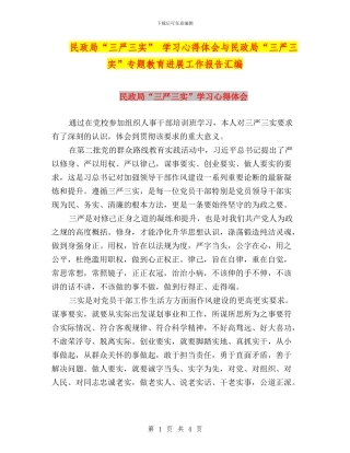 民政局“三严三实”