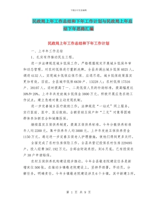 民政局上年工作总结和下年工作计划与民政局上年总结下年思路汇编