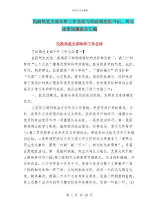 民政局党支部年终工作总结与民政局党组书记、局长述责述廉报告汇编