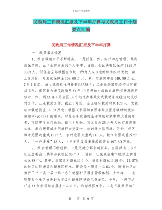 民政局工作情况汇报及下半年打算与民政局工作计划要点汇编