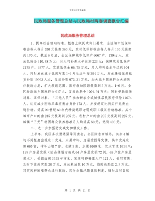民政局服务管理总结与民政局村两委调查报告汇编