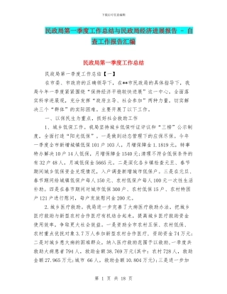 民政局第一季度工作总结与民政局经济发展报告