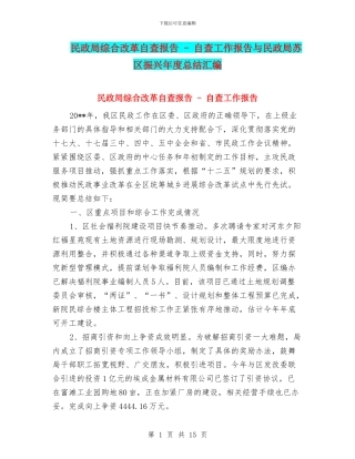 民政局综合改革自查报告