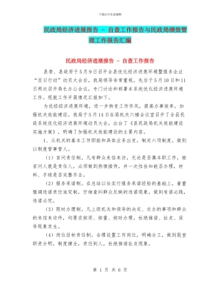 民政局经济发展报告