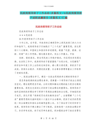 民政局领导班子工作总结与民政局领导班子述职述廉报告(多篇范文)汇编