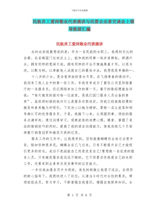 民航员工爱岗敬业代表演讲与民营企业家交谈会上领导致辞汇编