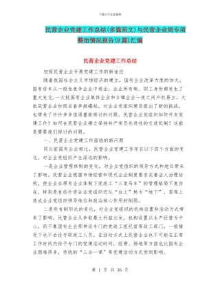 民营企业党建工作总结与民营企业局专项整治情况报告(8篇)汇编