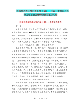 民营局发展环境自查汇报---自查工作报告与民营文化企业发展情况调查报告汇编