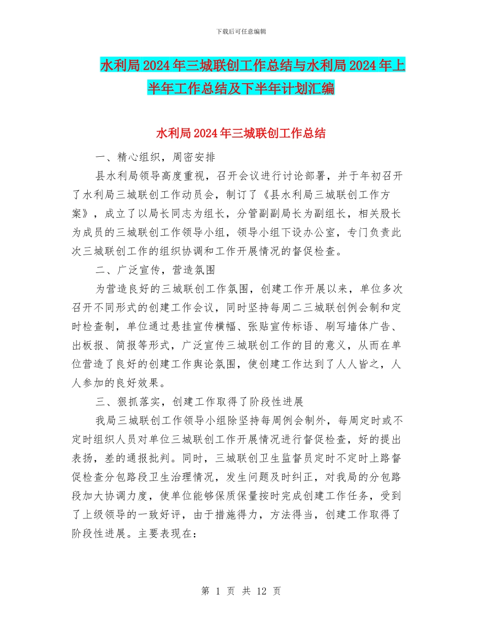 水利局2024年三城联创工作总结与水利局2024年上半年工作总结及下半年计划汇编_第1页
