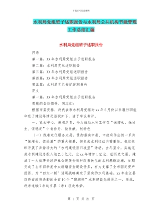 水利局党组班子述职报告与水利局公共机构节能管理工作总结汇编