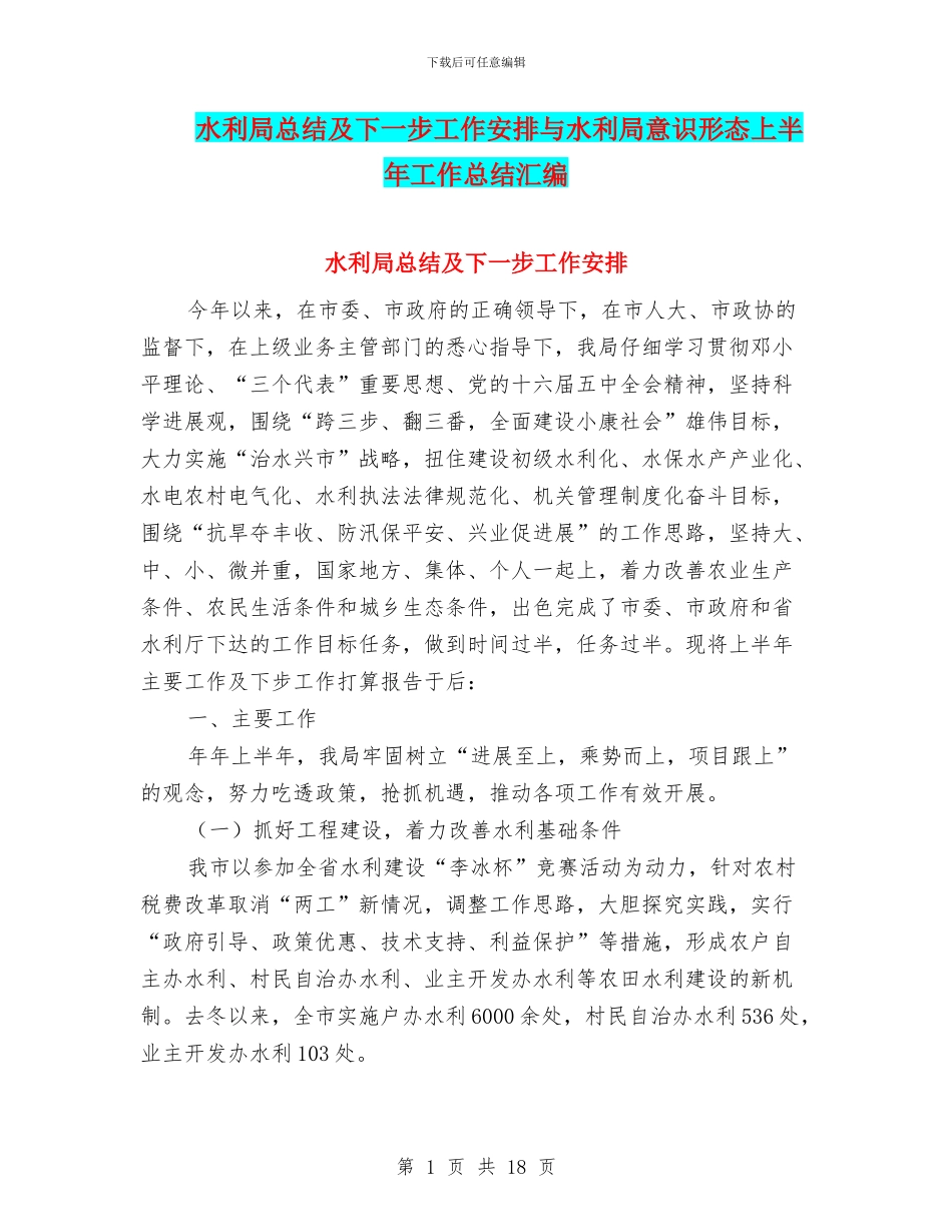 水利局总结及下一步工作安排与水利局意识形态上半年工作总结汇编_第1页