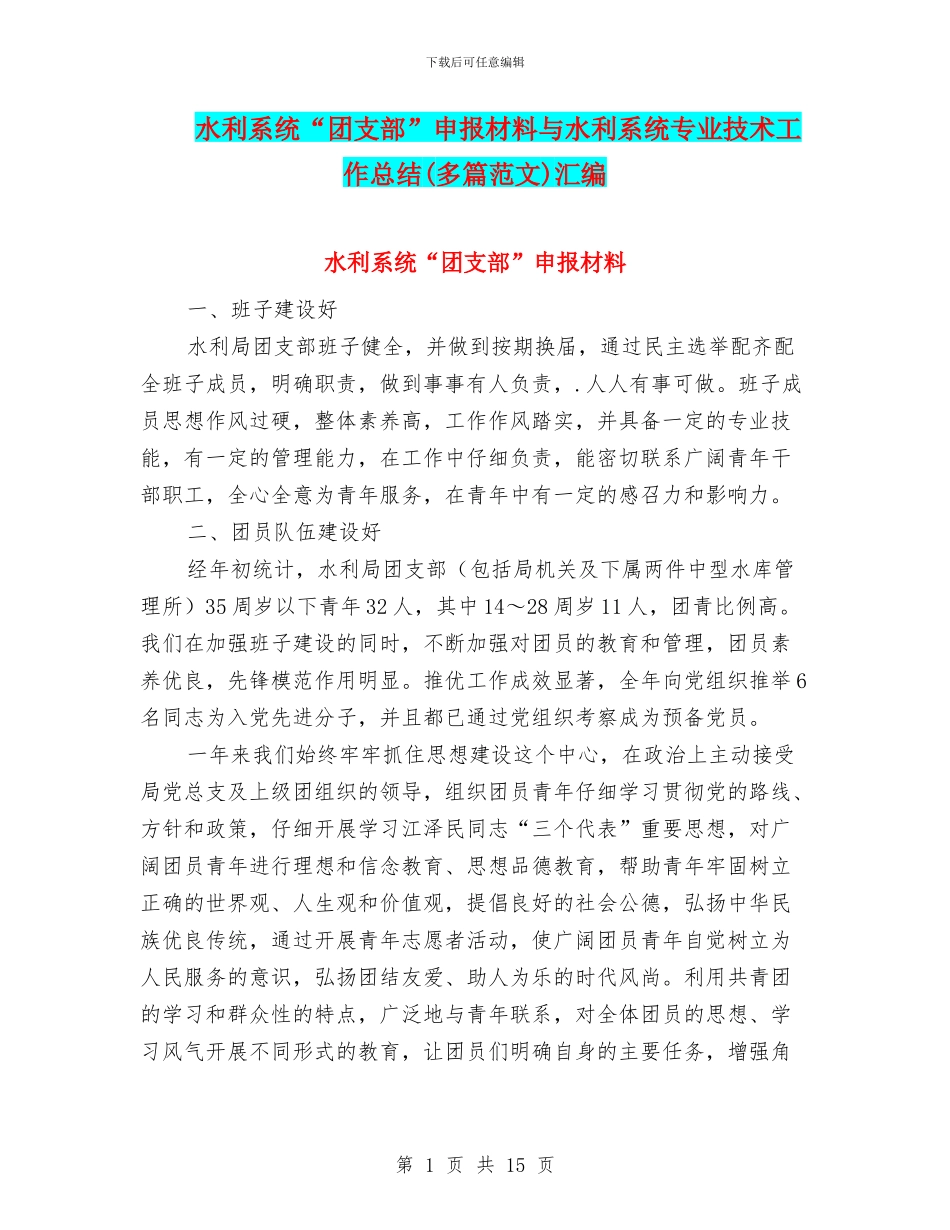 水利系统“团支部”申报材料与水利系统专业技术工作总结汇编_第1页