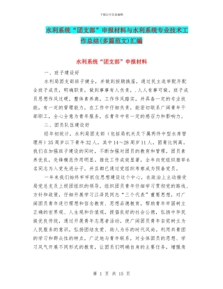 水利系统“团支部”申报材料与水利系统专业技术工作总结汇编