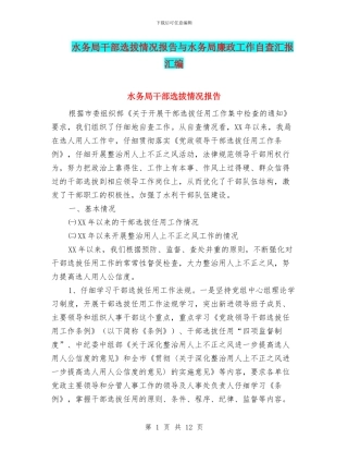 水务局干部选拔情况报告与水务局廉政工作自查汇报汇编