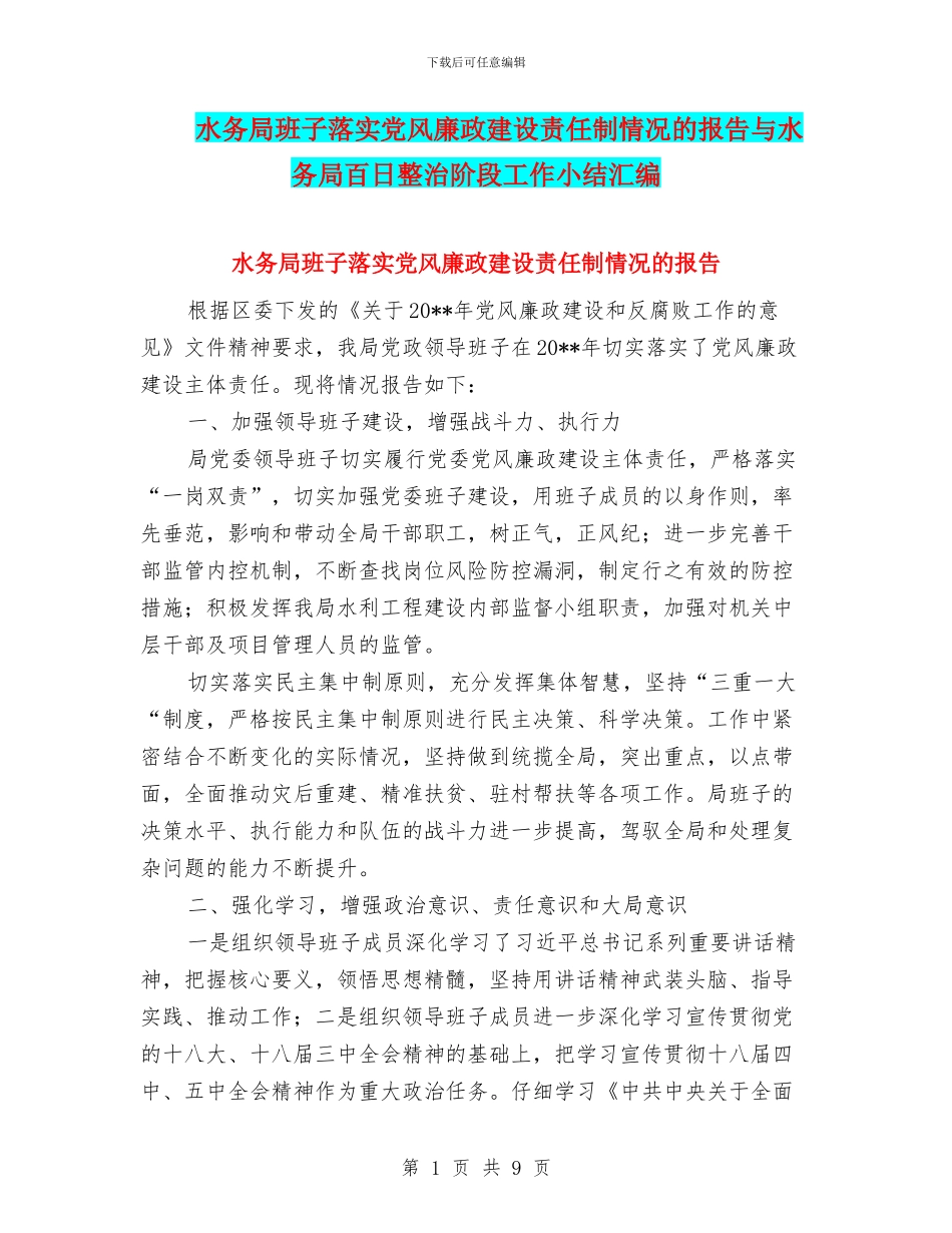 水务局班子落实党风廉政建设责任制情况的报告与水务局百日整治阶段工作小结汇编_第1页