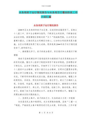 水务局班子运行情况报告与水务局百日整治阶段工作小结汇编
