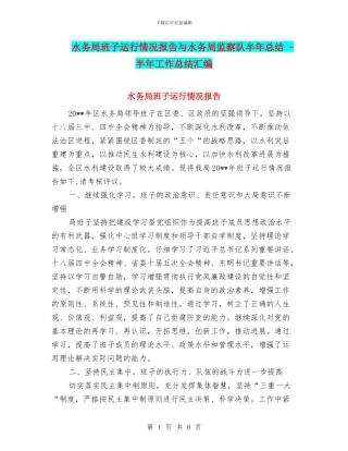 水务局班子运行情况报告与水务局监察队半年总结