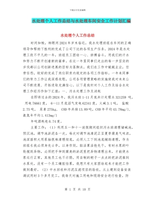 水处理个人工作总结与水处理车间安全工作计划汇编