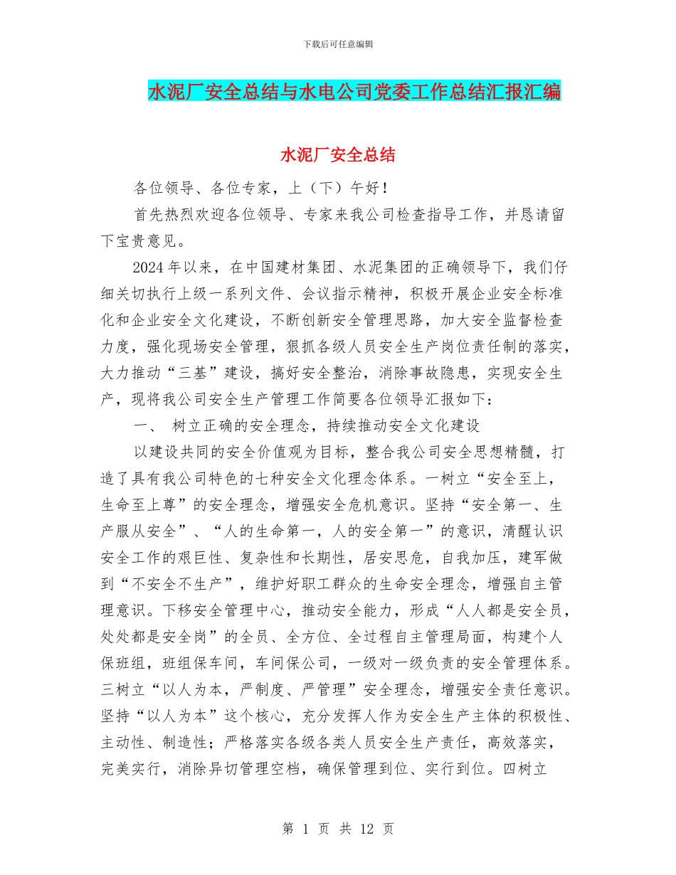 水泥厂安全总结与水电公司党委工作总结汇报汇编_第1页