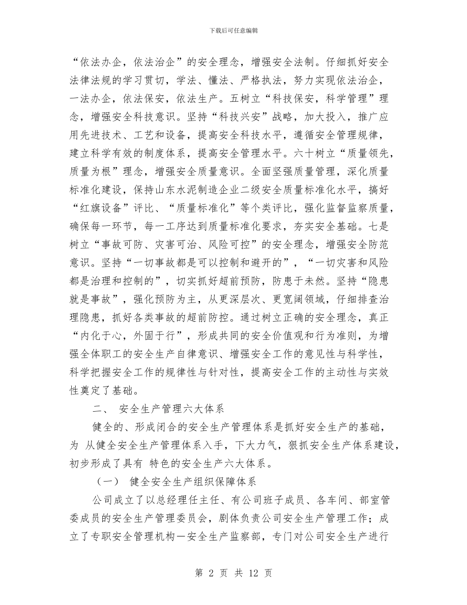 水泥厂安全总结与水电公司党委工作总结汇报汇编_第2页
