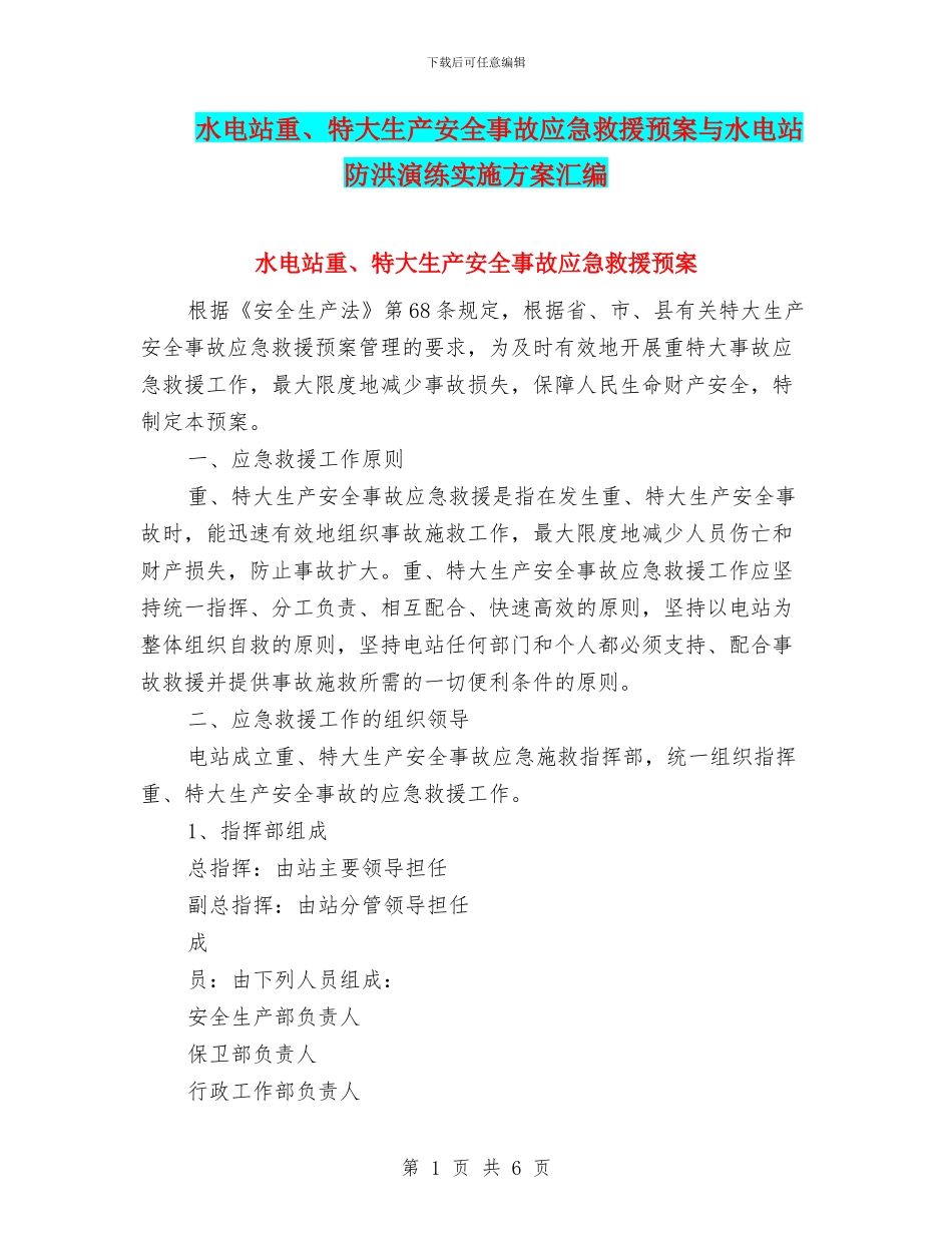 水电站重、特大生产安全事故应急救援预案与水电站防洪演练实施方案汇编_第1页