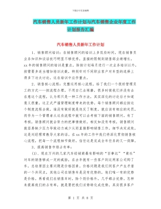 汽车销售人员新年工作计划与汽车销售企业年度工作计划报告汇编