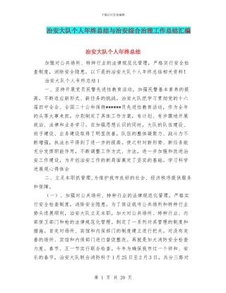 治安大队个人年终总结与治安综合治理工作总结汇编