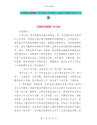 治理商业贿赂工作总结与治理小金库自查报告范文汇编