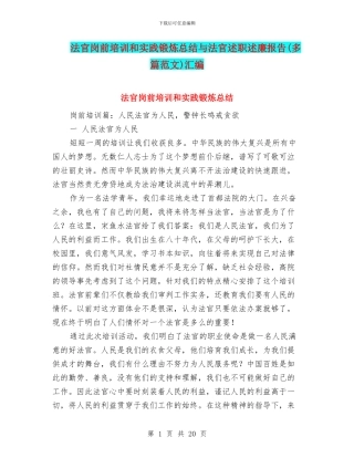 法官岗前培训和实践锻炼总结与法官述职述廉报告汇编