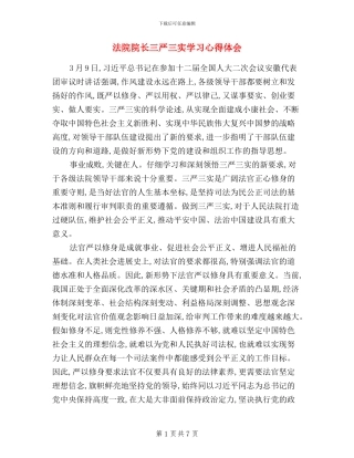 法院院长三严三实学习心得体会