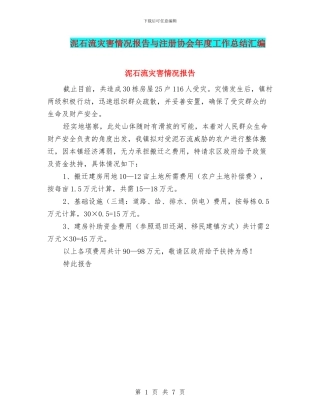 泥石流灾害情况报告与注册协会年度工作总结汇编