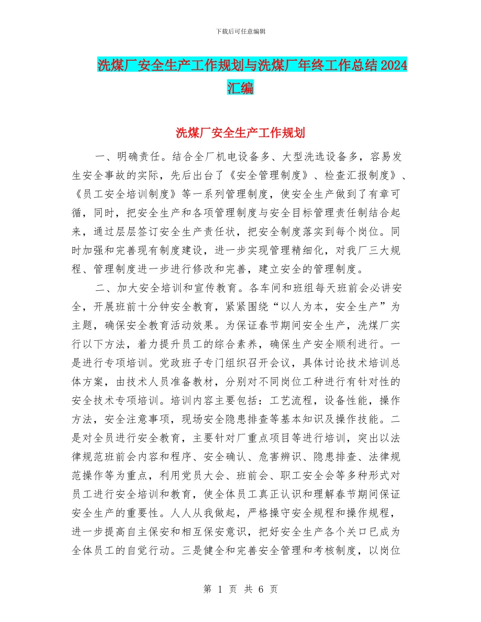 洗煤厂安全生产工作规划与洗煤厂年终工作总结2024汇编_第1页