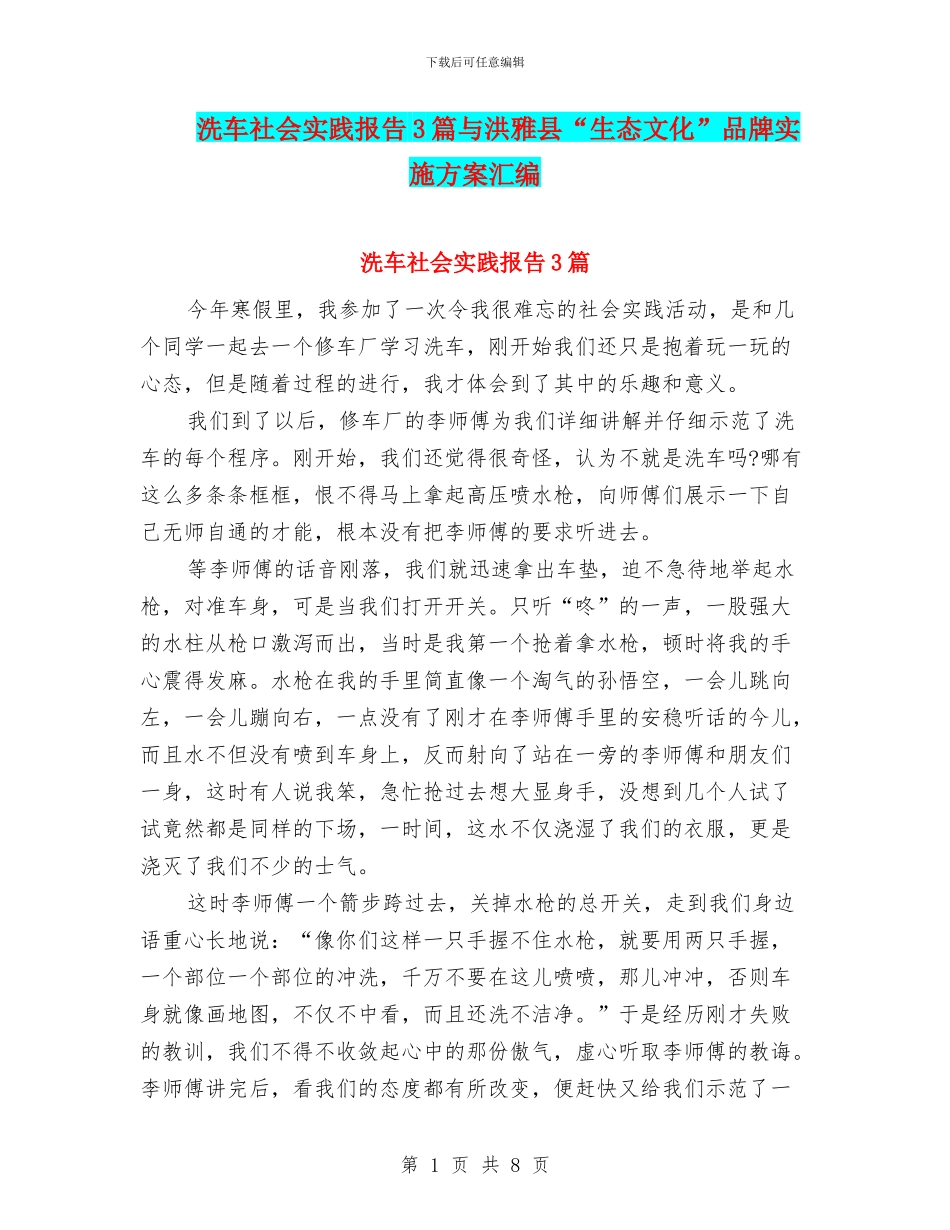 洗车社会实践报告3篇与洪雅县“生态文化”品牌实施方案汇编_第1页