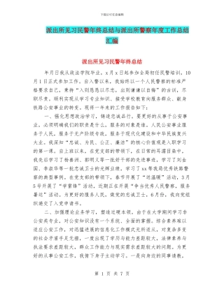 派出所见习民警年终总结与派出所警察年度工作总结汇编