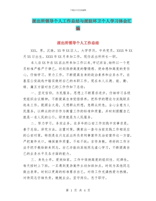 派出所领导个人工作总结与派驻环卫个人学习体会汇编