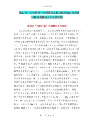 海口市“白色污染”专项整治工作总结与海口市交通污染专项整治工作总结汇编