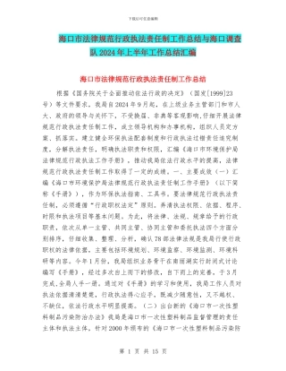 海口市规范行政执法责任制工作总结与海口调查队2024年上半年工作总结汇编