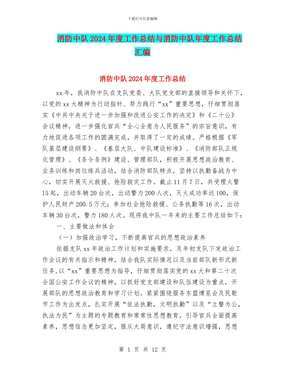 消防中队2024年度工作总结与消防中队年度工作总结汇编_第1页