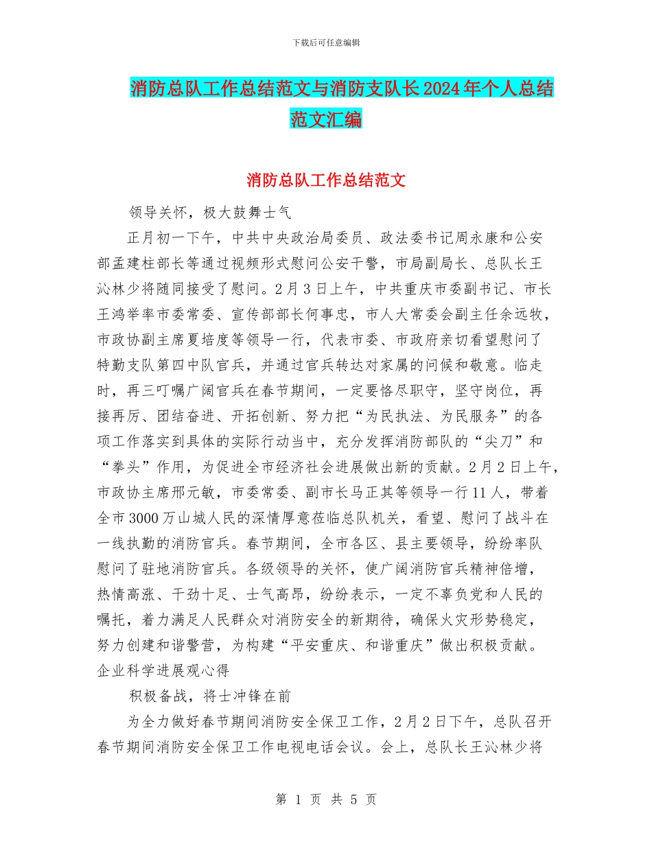 消防总队工作总结范文与消防支队长2024年个人总结范文汇编_第1页