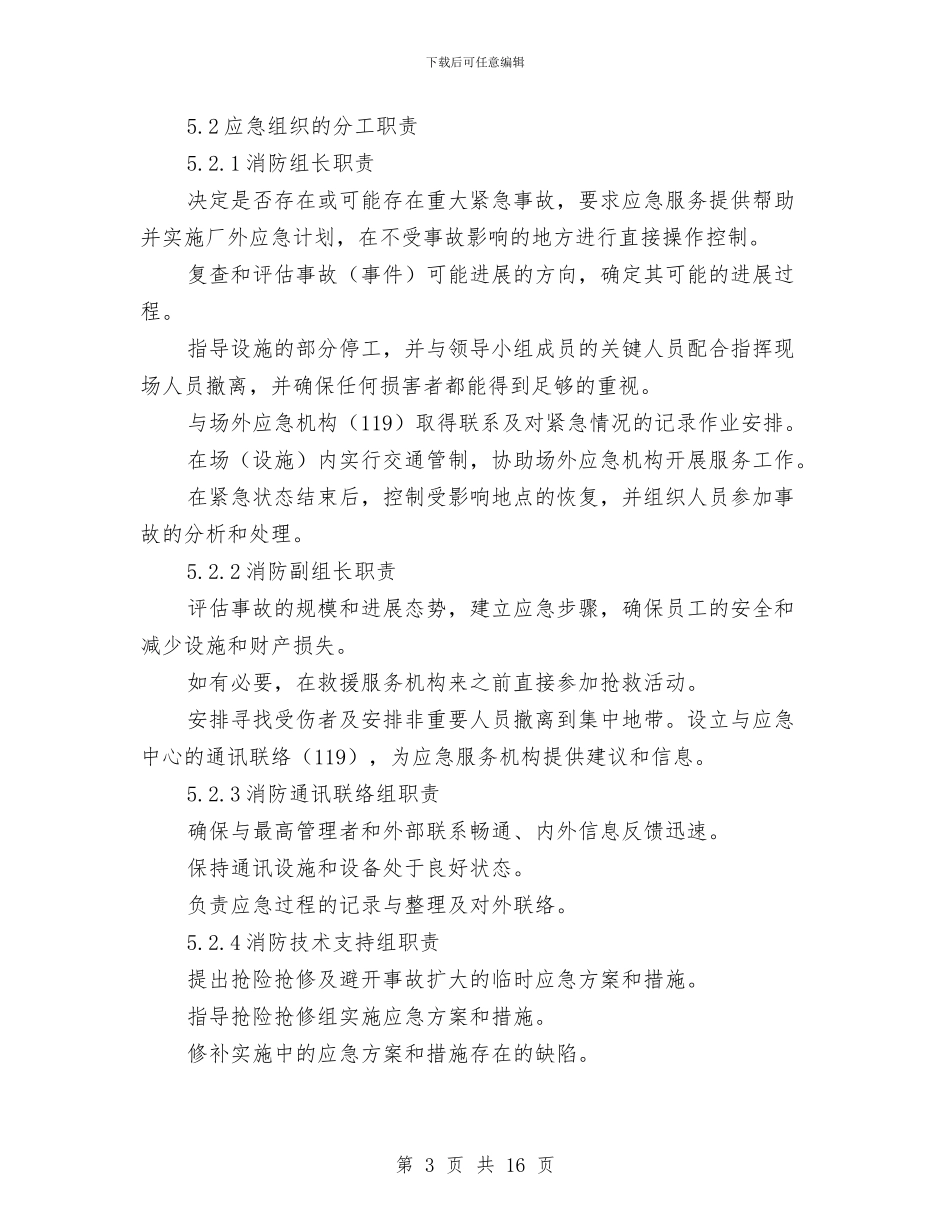 消防应急预案专项方案与消防志愿者宣传活动实施方案汇编_第3页